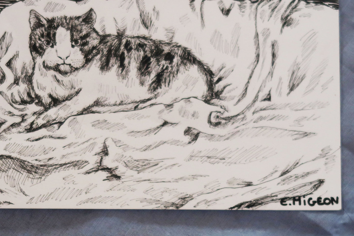 Illustration aux stylos du chat Causette